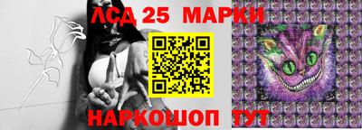 стаф Краснодар