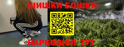 стаф Краснодар