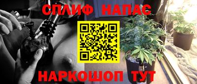 эйфоретик Коммунар
