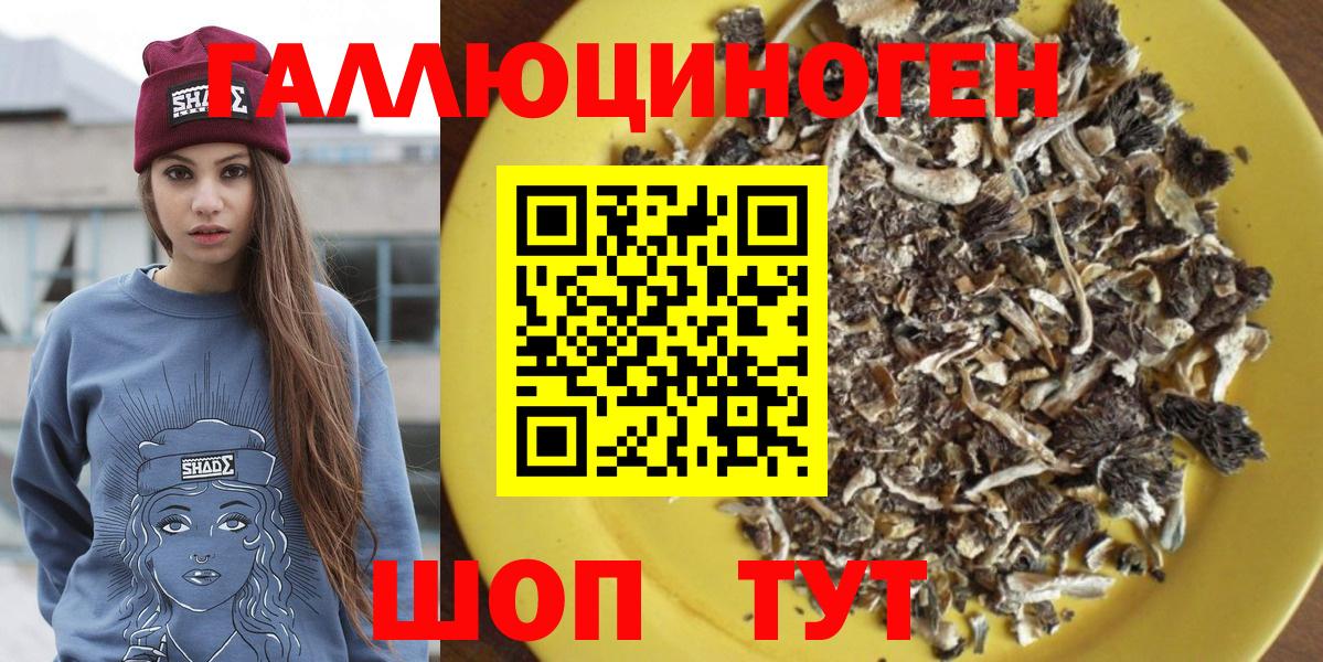 Псилоцибиновые грибы GOLDEN TEACHER  Вход с VPN  Псилоцибиновые грибы GOLDEN TEACHER  Красногорск 