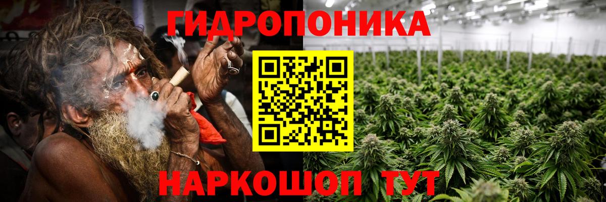 Каннабис VHQ Красногорск